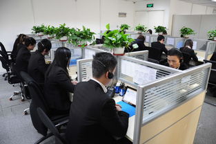 上海港茗投資管理 專業(yè)圖冊咨詢引領(lǐng)投資新視野